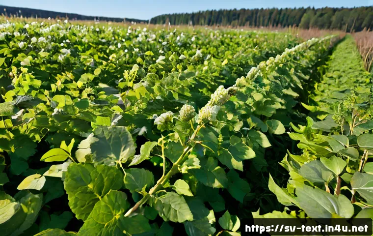 Är en textilteknisk certifiering värd det? Fördelar, karriärvägar och vad utbildningen kan kosta 4 섬유기사 자격증 취득 후의 이점 관련 이미지 2